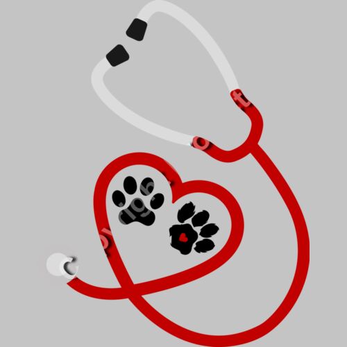 vet heart 2 Thumbnail