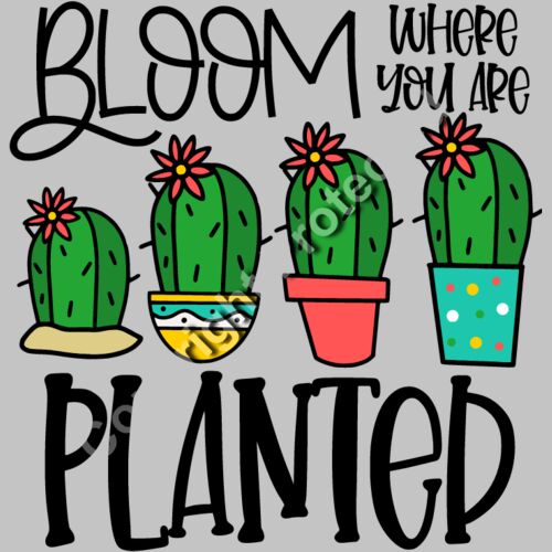 Bloom Where You Are Planted Thumbnail