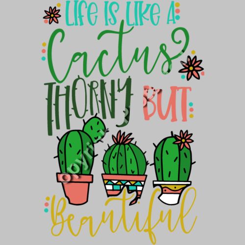 Life Is Like A Cactus Thumbnail