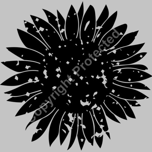 distressed black Thumbnail