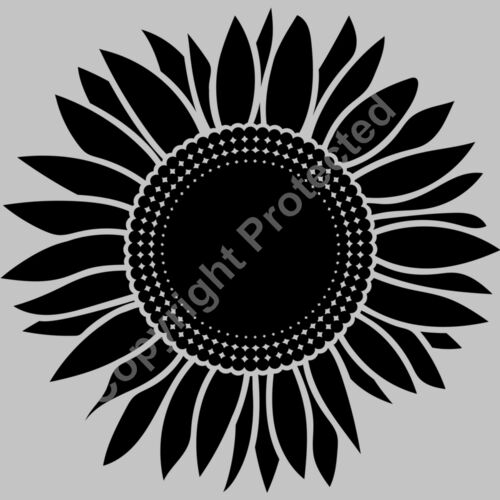 sunflower A black Thumbnail