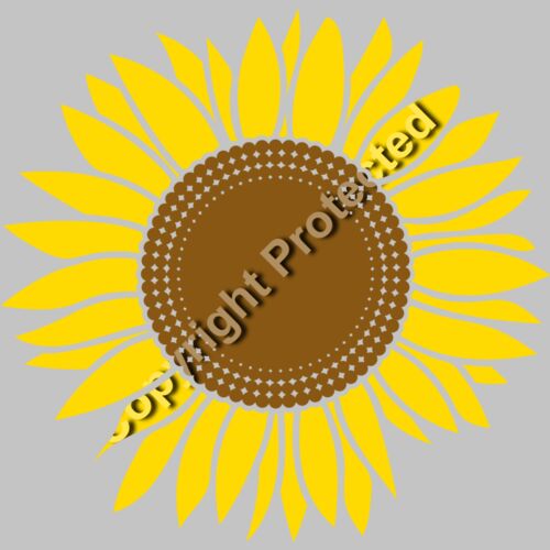 sunflower A Thumbnail