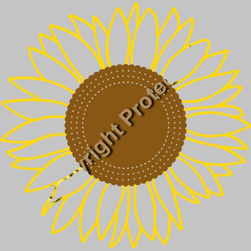 sunflower line c Thumbnail