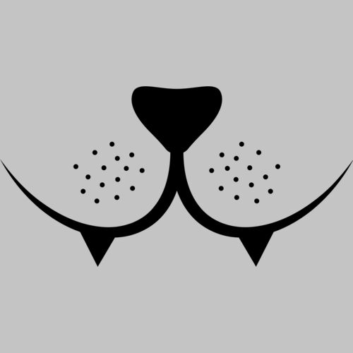 Cat Face 01 Thumbnail