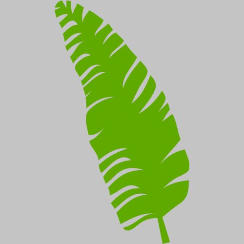 trop leaves  3  Thumbnail