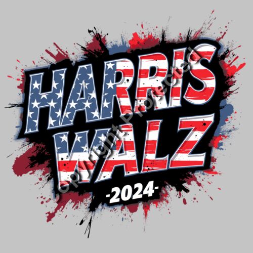 Kamala Harris 2024 campaign graphic featuring red  white  and blue text with stars and a paint s Thumbnail