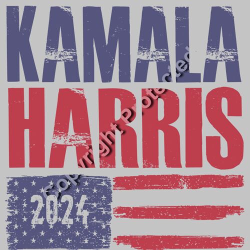 Kamala Harris 2024 campaign graphic with bold text and American flag elements  Thumbnail
