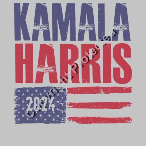Kamala Harris 2024 campaign graphic with distressed text and American flag elements  Thumbnail