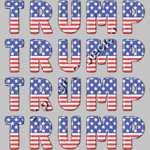 Trump 2024 American flag text pattern graphic Thumbnail
