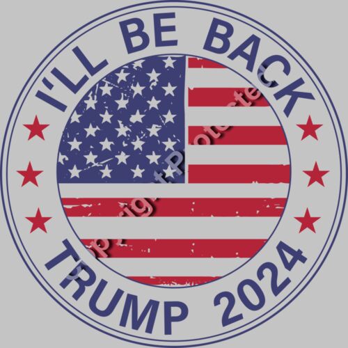 Trump 2024 campaign emblem with American flag and slogan I ll Be Back Thumbnail