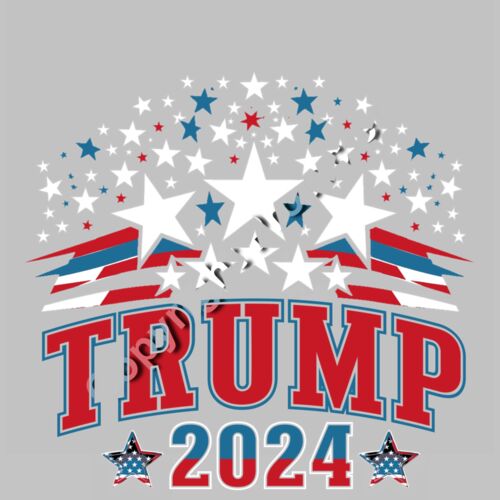 Trump 2024 campaign graphic with stars and stripes in red  white  and blue colors  Thumbnail