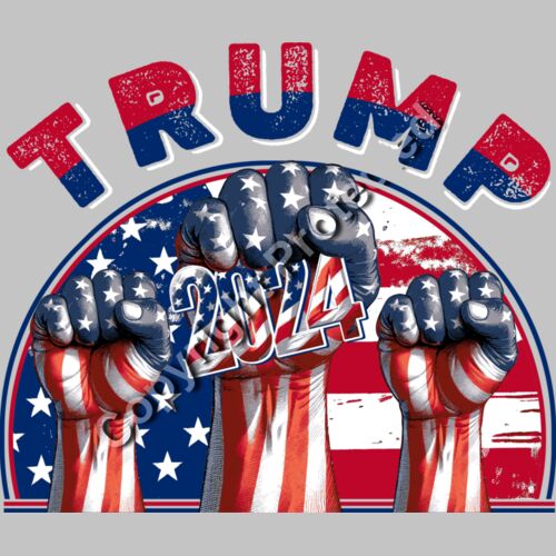 Trump 2024 patriotic fists American flag artwork illustration Thumbnail