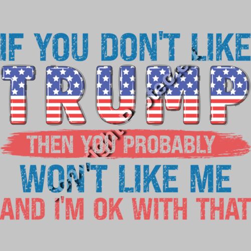 trump 2024 election slogan graphic quote american flag theme Thumbnail