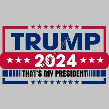 trump 2024 election banner red blue stars Thumbnail
