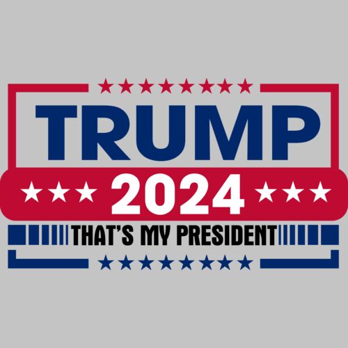 trump 2024 election banner red blue stars Thumbnail