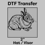 DTF Transfer 2" Thumbnail
