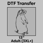 DTF Transfer 13" Thumbnail