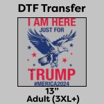 DTF Transfer 13" Thumbnail